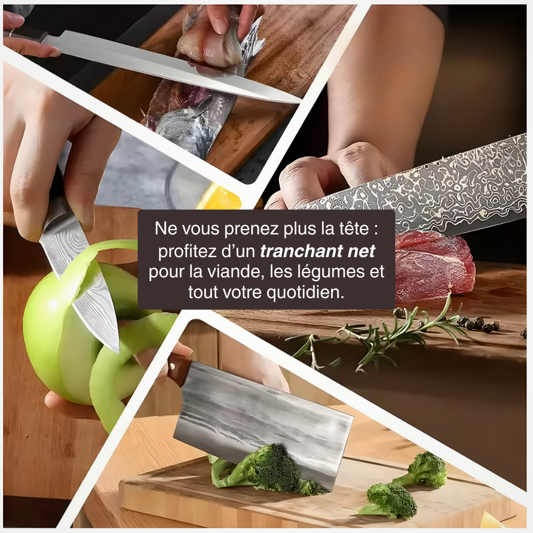 Aiguiseur couteau professionnel