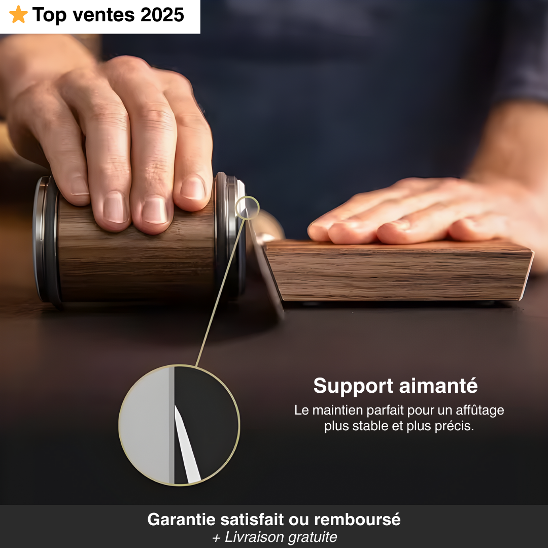 Aiguiseur couteau professionnel